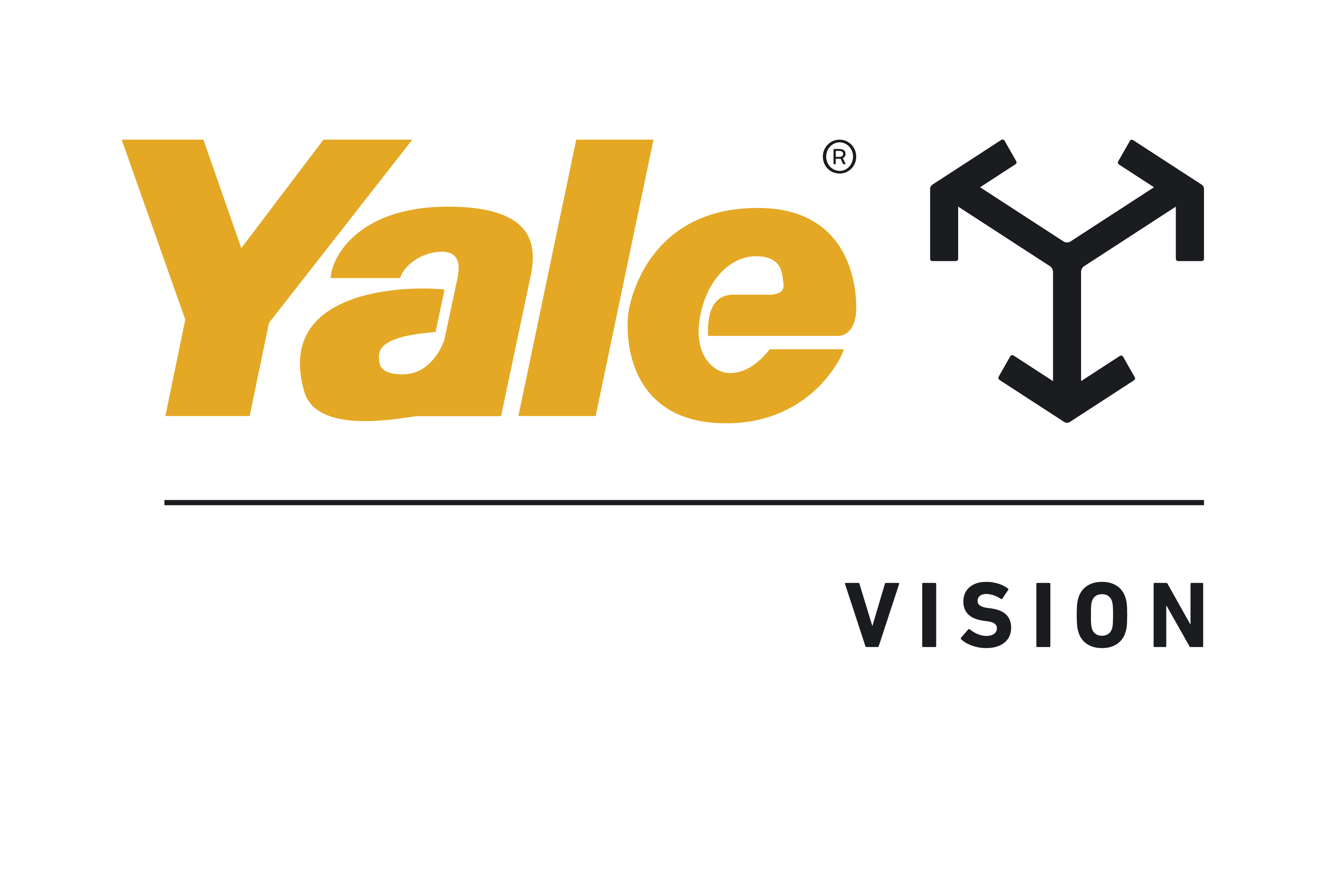 Yale Vision Logo